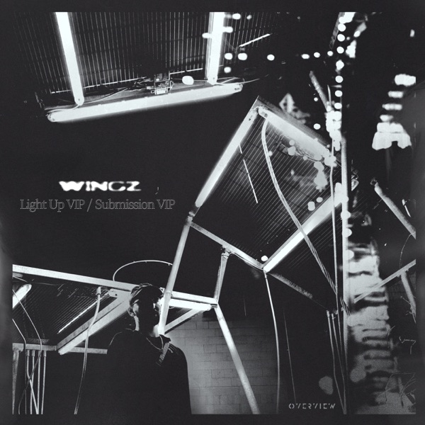 Light Up VIP / Submission VIP - Single