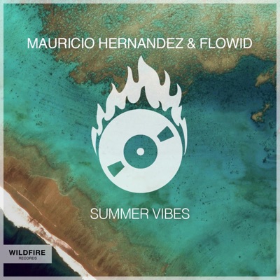 Summer Vibes (Radio Edit) - Single