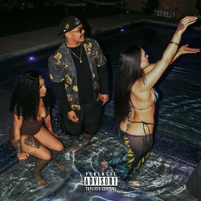 West West (feat. Bri$) - Single