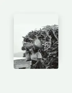 Escucha a Scott Pat, mira vídeos musicales, lee la biografía, consulta fechas de giras y mucho más.