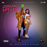Data (feat. Dropa Don) - Single - Combustion Recordz