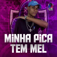Minha Pica Tem Mel - Single - MC SKOT MAL & DJ Dubai