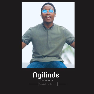 Ngilinde (feat. Nomfundo Moh) - Single
