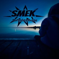 Perfekt Uperfekt - Single - Smek