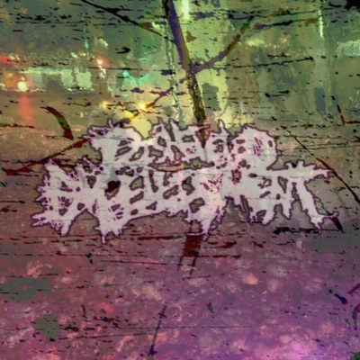 Disheveled Embellishment - EP