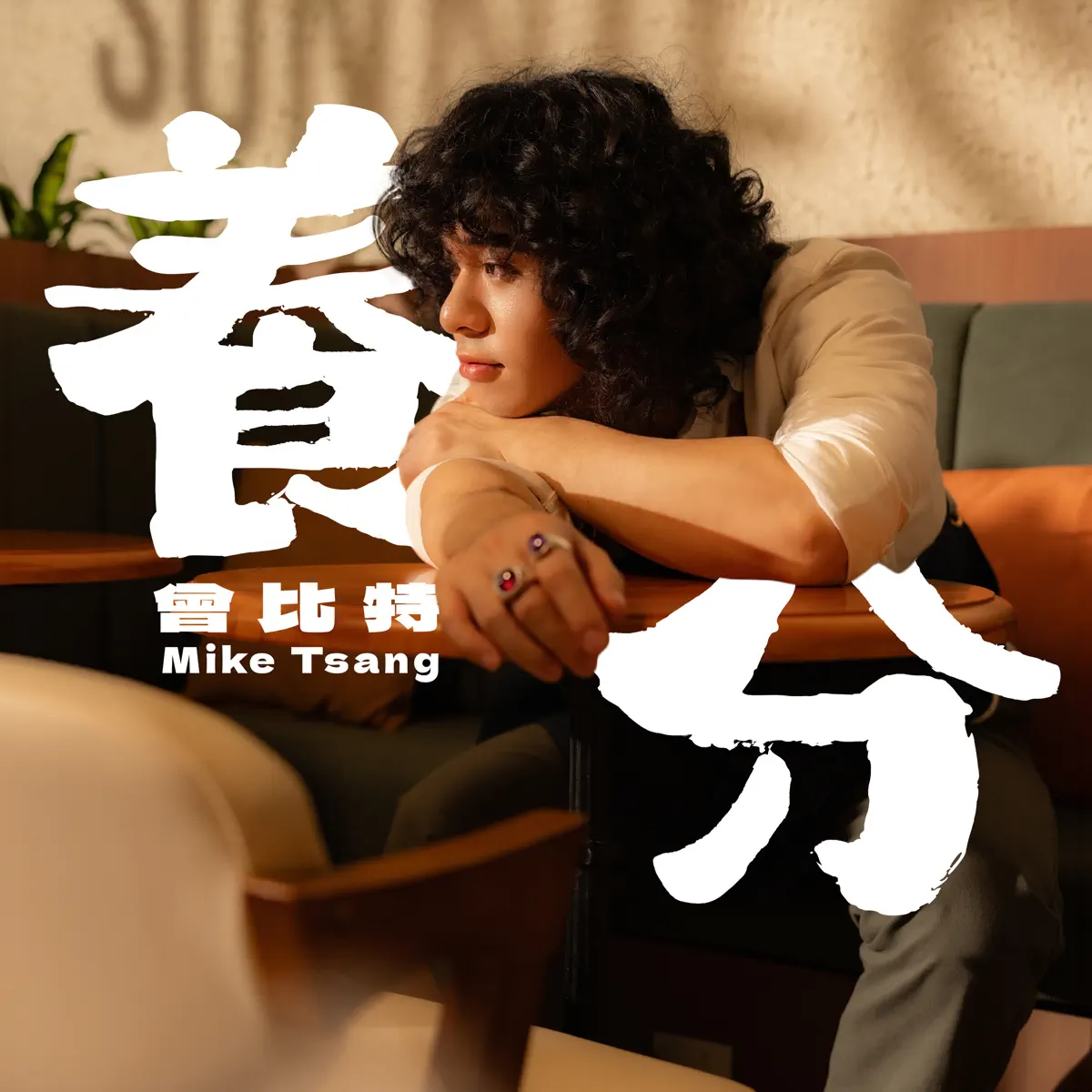 Mike 曾比特 - 養分 - Single (2025) [iTunes Plus AAC M4A]-新房子