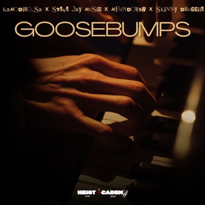 Goosebumps (feat. Steve Jay MusiQ, Mfundow98 & Skinny Druggiie) - Single