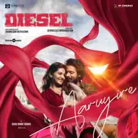 Dhibu Ninan Thomas, Ravi G — Aaruyire
