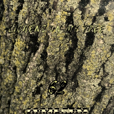 Lichens On My Tree - EP