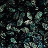 I can - Single - ANON