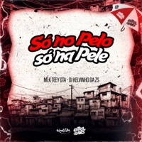 Só No Pelo Só Na Pele - Single - MLK TEEY GTA & DJ KELVINHO DA ZS