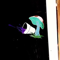 Toluca (the gap in the door is a separate reality) - Single - CottonTop