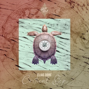 Critical Step - EP