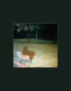 Biscusss을(를) 듣고, 뮤직 비디오를 보고, 약력을 읽고, 투어 일정 등을 확인하세요!