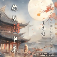 你从诗中来 - Single - 王志魁
