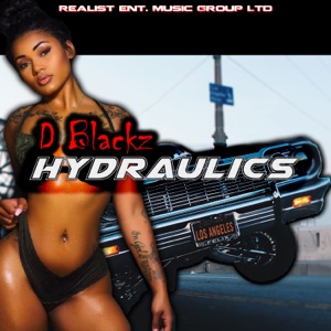 Dydraulics - Single