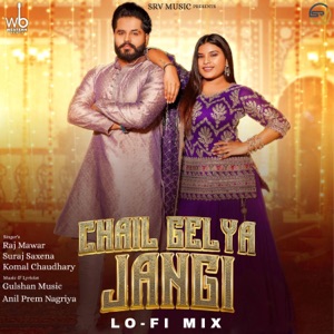 Chail Gelya Jangi (Lo-Fi Mix)