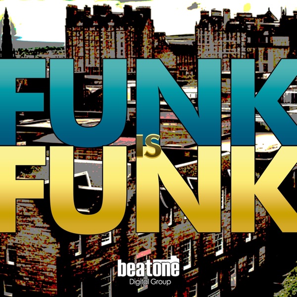 Funk Is Funk - Single
