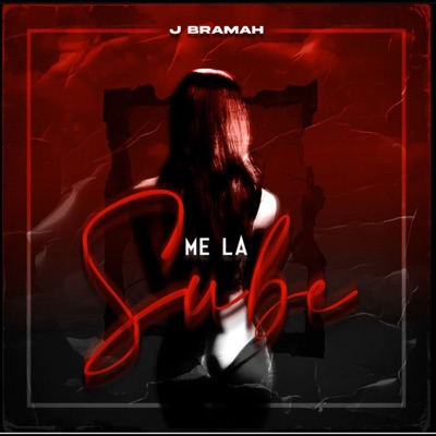 Me La Sube - Single