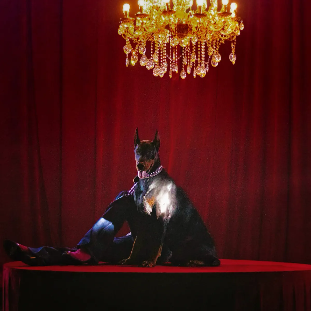 李大奔 - After Birthday Party - Single (2024) [iTunes Plus AAC M4A]-新房子