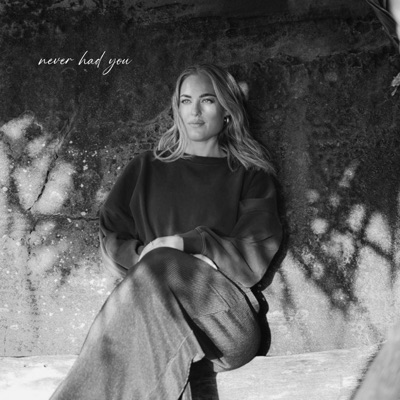 never had you - Single