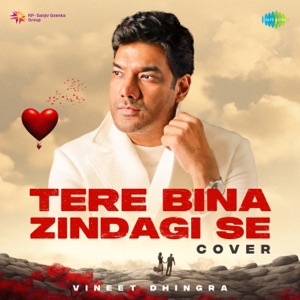 Tere Bina Zindagi Se (Cover)