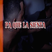 Pa Que la Sienta (feat. RONNY GTA, E R R E V E, El Coka RD & angeldelanueva) - Single - La Flauta Gz