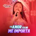 Tu amor Ya No Me Importa