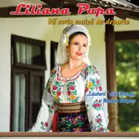 Tinerețe văd cum pleci — Liliana Popa