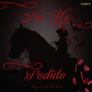 No He Podido
