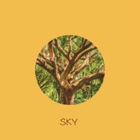 20 / 20 (feat. Christina) - Single - Sky the Pilot