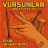 Tekir & G&ouml;khan Namlı - Vursunlar (Roman Version) artwork