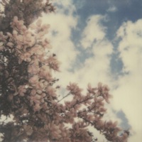 Invisible String Theory - Single - Barri B