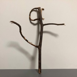 菠蘿山歌 Carson Leung