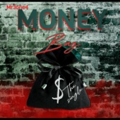 Money Bag artwork