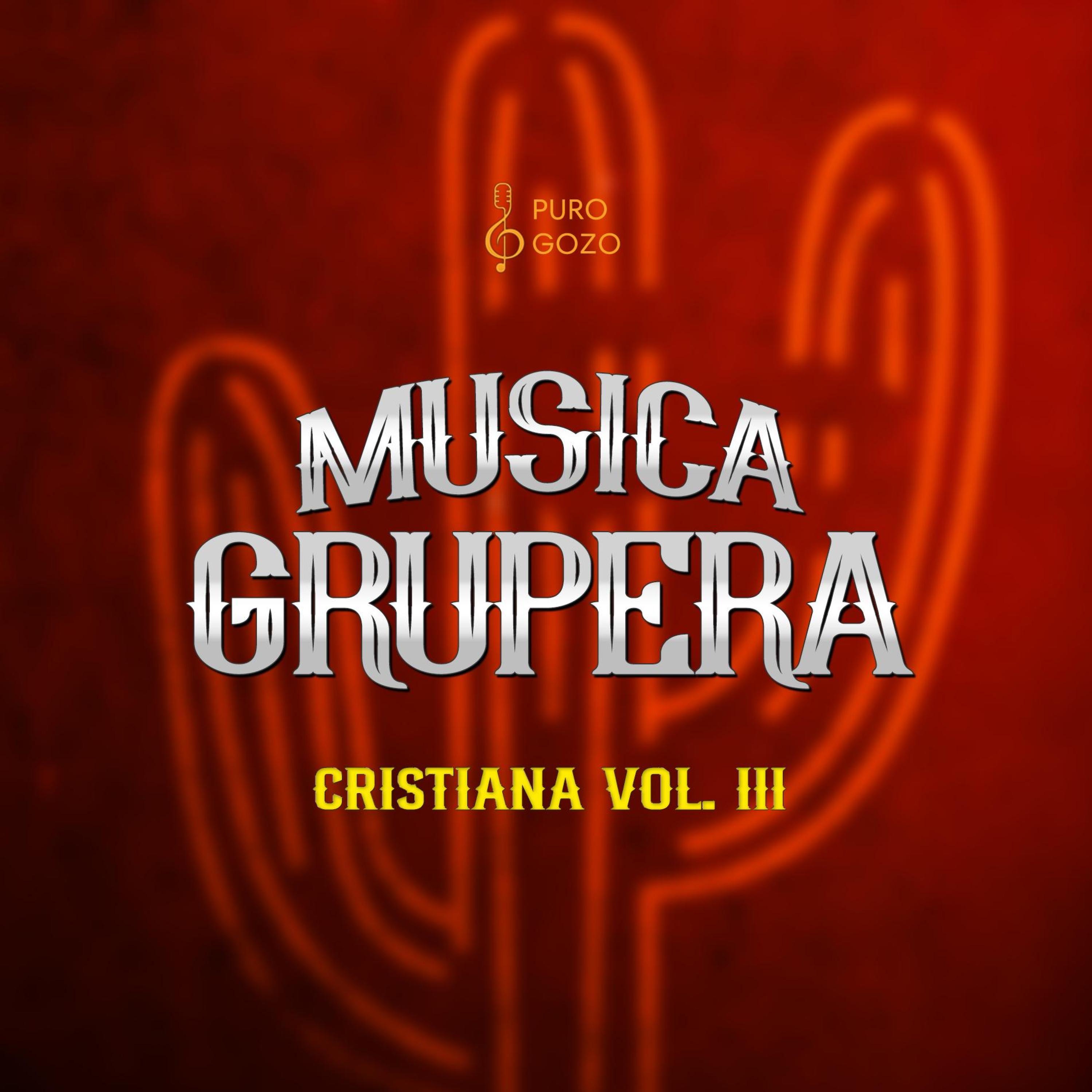 Música Grupera, Vol. 3
