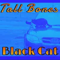 Soul To Save — Black Cat Bones