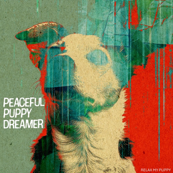 Peaceful Puppy Dreamer