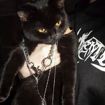 FOR WHAT? (feat. LOAT!) - Single