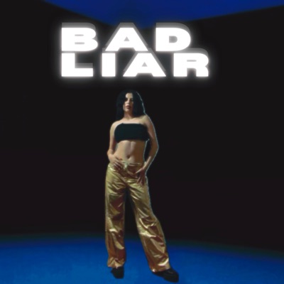 Bad Liar (feat. DzibDark) - Single