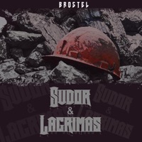 SUDOR Y LÁGRIMAS - Single - diselobrostel