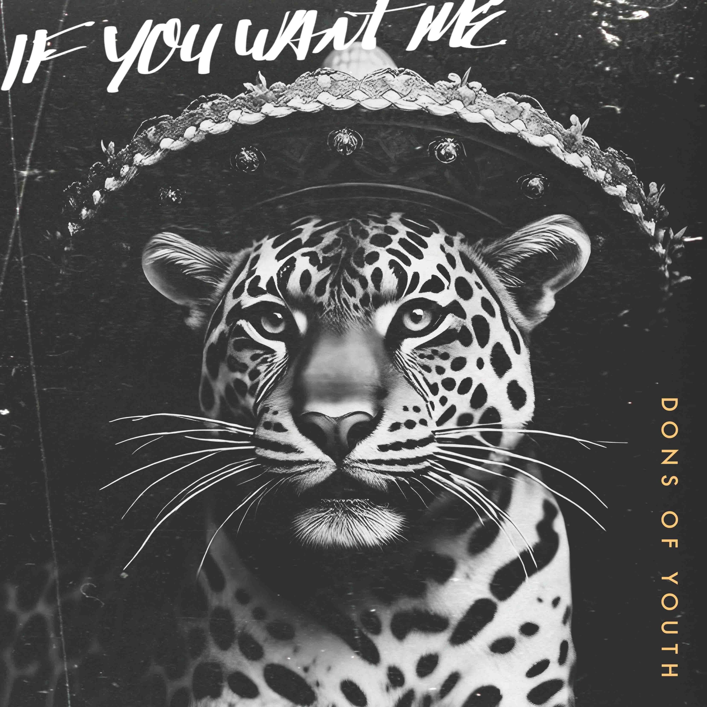 If You Want Me - Single