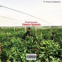 Xikwembu Nghenelela (feat. Krazy-Boy Magaraba) - Single - Twigg Edward
