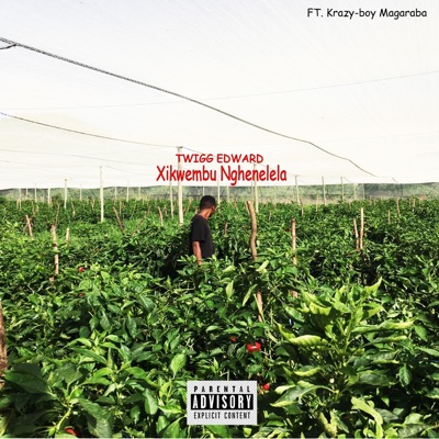 Xikwembu Nghenelela (feat. Krazy-Boy Magaraba) - Single