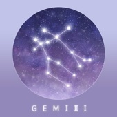 Gemini artwork