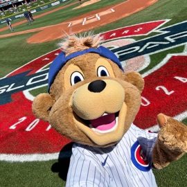 cubs hearingnoise