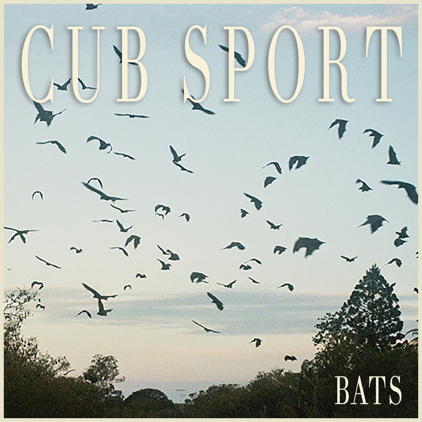 BATS by Cub Sport
