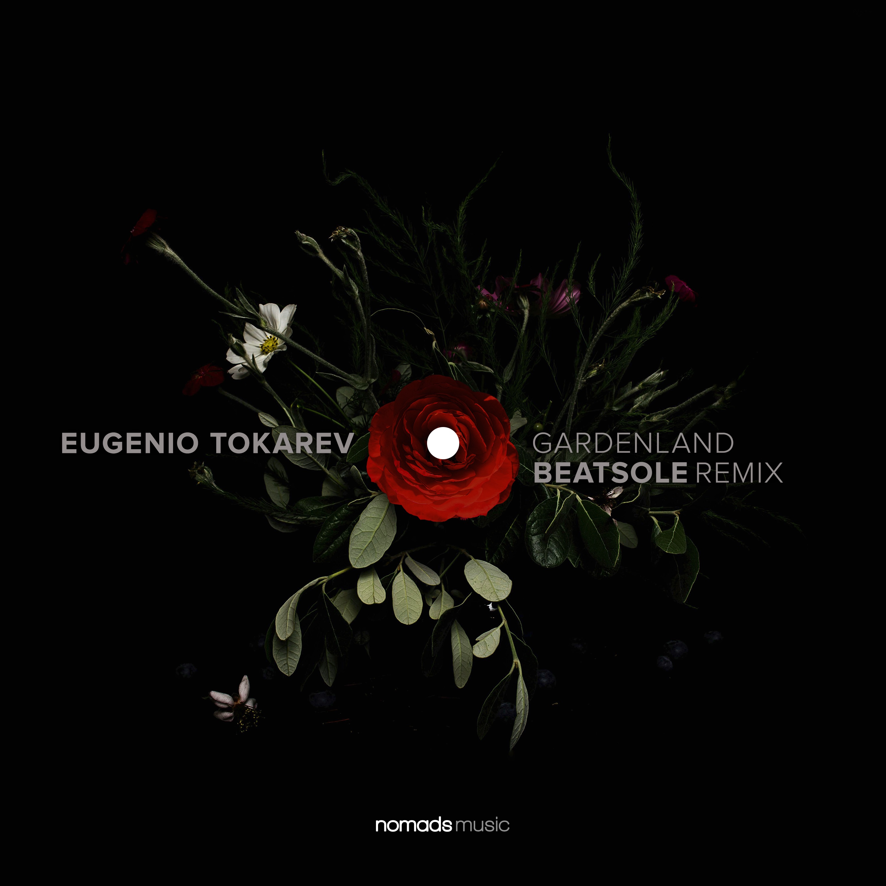 Gardenland (Beatsole Remix) - Single