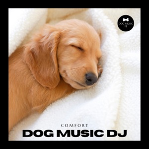 Dog Music: Comfort