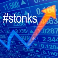 #STONKS (feat. Enzy M & Murri) - Single - Flex